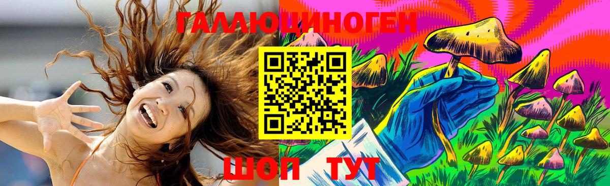 Ковров  Псилоцибиновые грибы GOLDEN TEACHER  где найти наркотики  Вход с VPN  Псилоцибиновые грибы Magic Shrooms 
