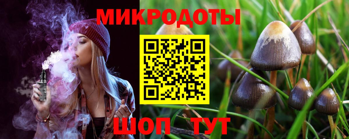 Галлюциногенные грибы мицелий Ковров